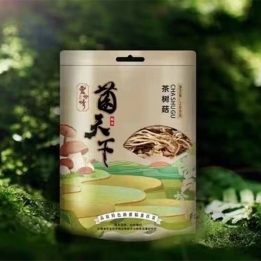 茶树菇